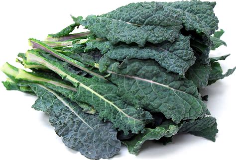 Witchcraft of black kale